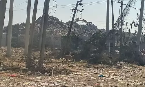 Haryana के यमुनानगर नगर निगम को 100% डोर-टू-डोर अलग-अलग कचरा कलेक्शन लागू करने को कहा गया