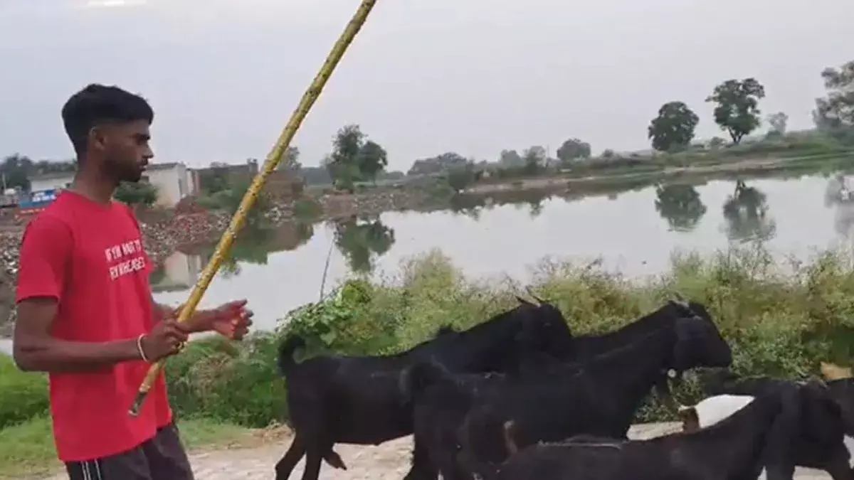 Budhlada: बकरी पालक कोमलदीप सिंह ने JRF में हासिल की 6वीं रैंक