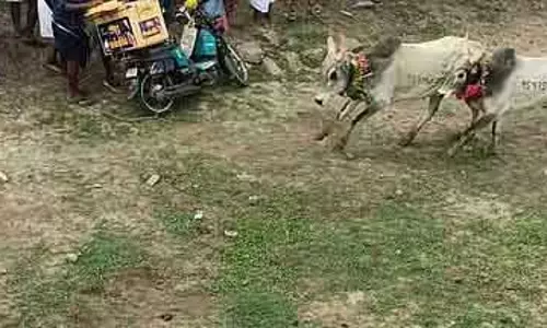 Tamil Nadu : मंजूविराट में बुलफाइट में 3 दर्शकों की मौत Tamil Nadu : मंजूविराट में बुलफाइट में 3 दर्शकों की मौत