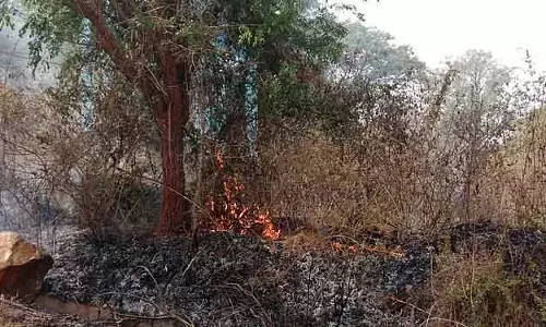 Pushpagiri की तलहटी में आग: बुझाने की अपील