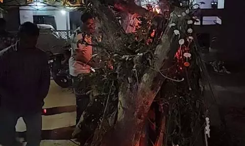 भंडारा, Maharashtra में होली उत्सव: जिलेभर में उल्लास और रंगों की धूम भंडारा, Maharashtra में होली उत्सव: जिलेभर में उल्लास और रंगों की धूम