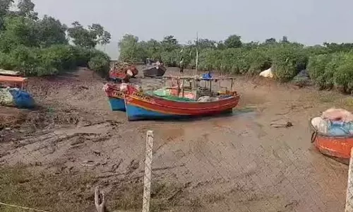 अभयारण्य में कछुआ प्रजनन पर 400 मछुआरे गिरफ्तार, 41 ट्रॉलर जब्त