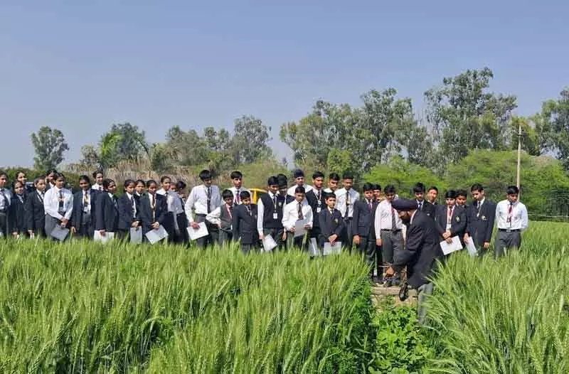Karnal एग्रीकल्चर साइंसेज एकेडमी ने नेशनल साइंस डे मनाया Karnal एग्रीकल्चर साइंसेज एकेडमी ने नेशनल साइंस डे मनाया