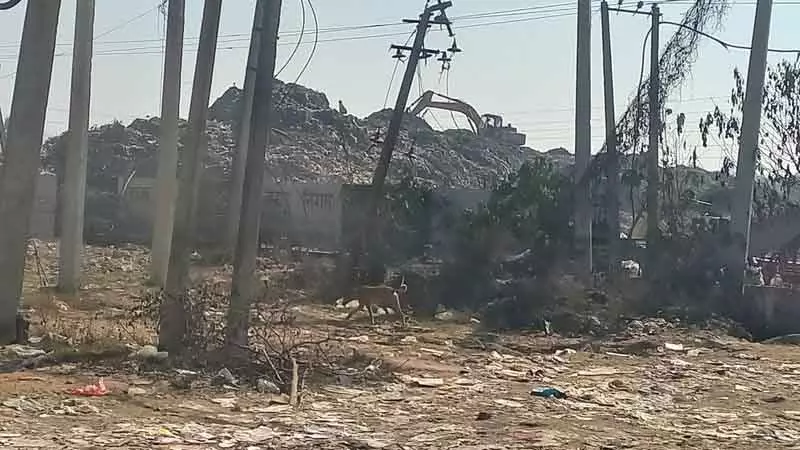 Haryana के यमुनानगर नगर निगम को 100% डोर-टू-डोर कचरा कलेक्शन लागू करने का आदेश Haryana के यमुनानगर नगर निगम को 100% डोर-टू-डोर कचरा कलेक्शन लागू करने का आदेश