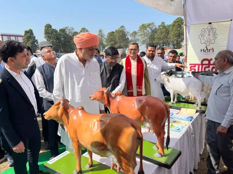 Haryana के करनाल में खरीफ मेले में कृषि मंत्री ने किसानों से प्राकृतिक खेती अपनाने की अपील की Haryana के करनाल में खरीफ मेले में कृषि मंत्री ने किसानों से प्राकृतिक खेती अपनाने की अपील की