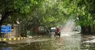 Tamil Nadu 5 मार्च तक हल्की बारिश की संभावना: IMDB Tamil Nadu 5 मार्च तक हल्की बारिश की संभावना: IMDB