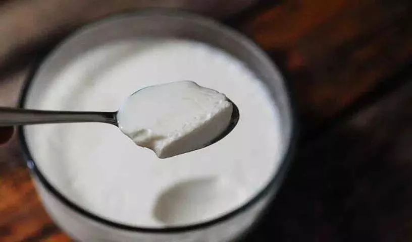 दही खाने को लेकर कई लोगों के मन में ये Myths दही खाने को लेकर कई लोगों के मन में ये Myths