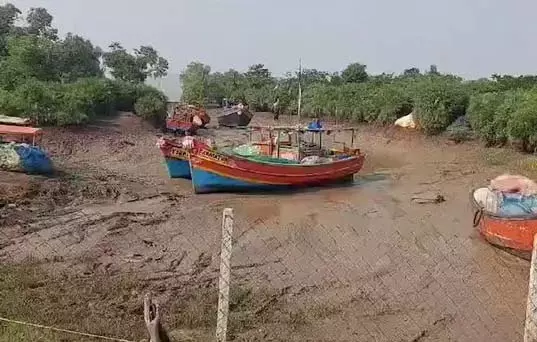 अभयारण्य में कछुआ प्रजनन पर 400 मछुआरे गिरफ्तार, 41 ट्रॉलर जब्त अभयारण्य में कछुआ प्रजनन पर 400 मछुआरे गिरफ्तार, 41 ट्रॉलर जब्त