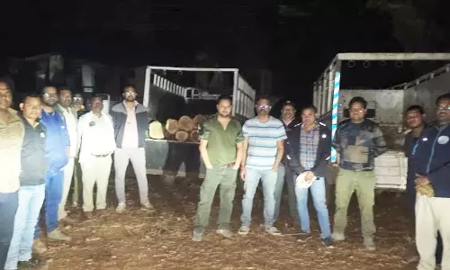 तस्कर फरार, पिकअप से सागौन के लट्ठे जब्त तस्कर फरार, पिकअप से सागौन के लट्ठे जब्त