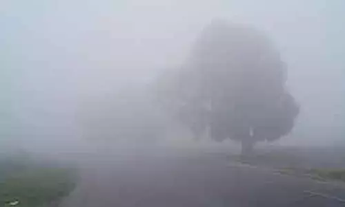 Tamil Nadu : पश्चिमी तलहटी जिलों में 5 मार्च तक बर्फबारी की संभावना Tamil Nadu : पश्चिमी तलहटी जिलों में 5 मार्च तक बर्फबारी की संभावना