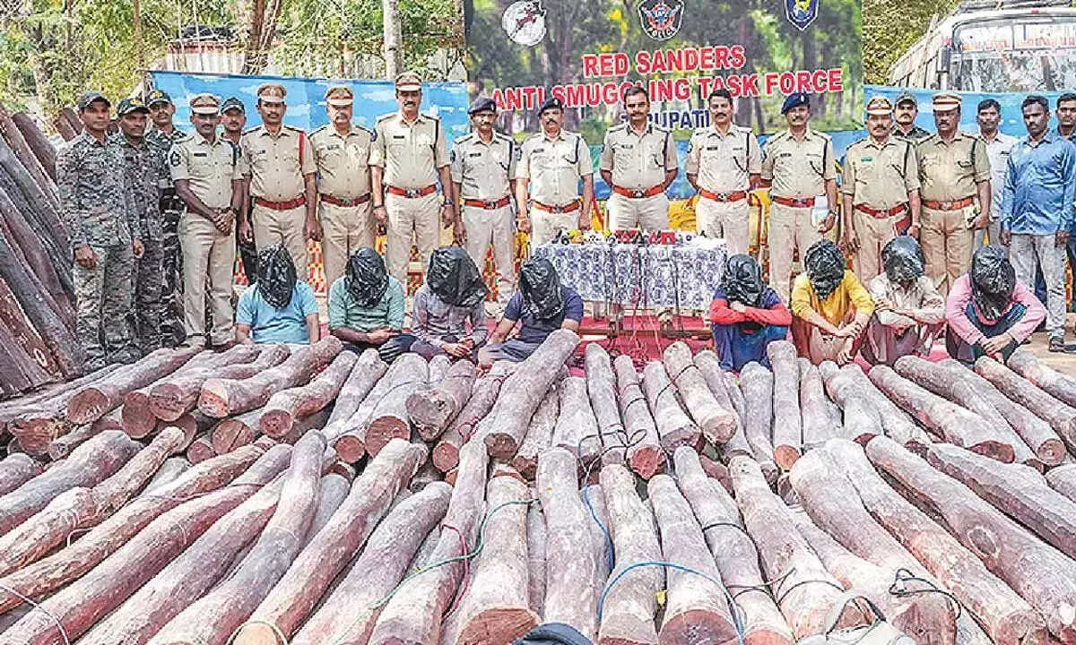 Andhra: लाल चंदन टास्क फोर्स ने 5 करोड़ रुपये की लकड़ी जब्त की Andhra: लाल चंदन टास्क फोर्स ने 5 करोड़ रुपये की लकड़ी जब्त की