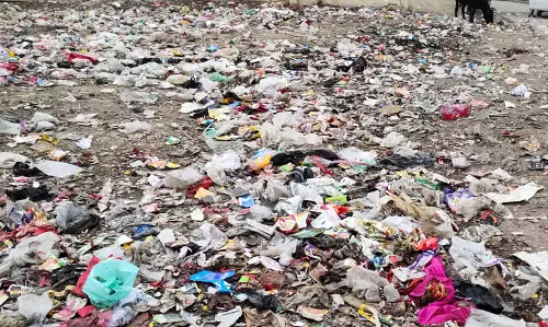 Lucknow: कैसरबाग बालदा कॉलोनी में गंदगी से परेशानी
