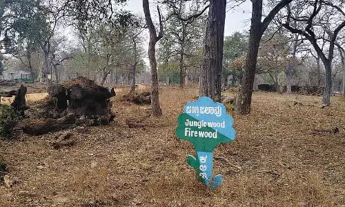 Mundgod : दाह संस्कार के लिए लकड़ी की कमी Mundgod : दाह संस्कार के लिए लकड़ी की कमी