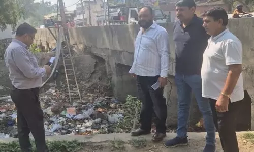 Bhiwani: Jui Canal के पुल पर बनेगा वर्टिकल पार्क Bhiwani: Jui Canal के पुल पर बनेगा वर्टिकल पार्क
