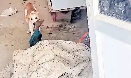 Jadcherla सरकारी अस्पताल के मुर्दाघर मामले में चार लोग सस्पेंड Jadcherla सरकारी अस्पताल के मुर्दाघर मामले में चार लोग सस्पेंड
