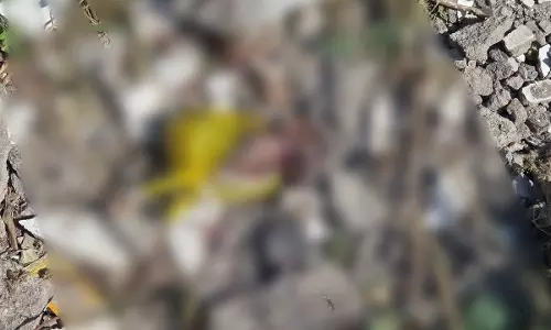 Raisen: उदयपुरा में मिला नवजात का शव, पुलिस ने शुरू की जांच