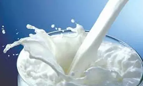 Milk उत्पादकों की कोऑपरेटिव सोसाइटी बनाएं: पशुपालन विभाग Milk उत्पादकों की कोऑपरेटिव सोसाइटी बनाएं: पशुपालन विभाग