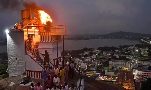 तिरुप्परनकुंद्रम दीपम मुद्दे को शरारती राजनीतिक रंग दिया गया: Madras HC तिरुप्परनकुंद्रम दीपम मुद्दे को शरारती राजनीतिक रंग दिया गया: Madras HC