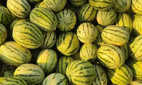 Ramadan : फलों की मांग तरबूज, अनानास की भरमार बाजार में