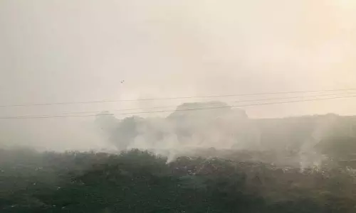 Loni Kalbhor में मुला-मुथा नदी के किनारे कचरे में भीषण आग लग गई