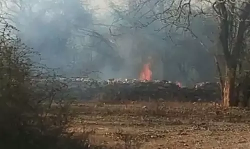 प्लेन क्रैश की अफवाह से हड़कंप, सूरजपुर तक फैली चर्चा