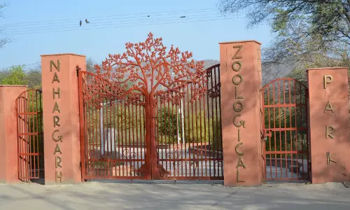 Jaipur: होली के मौके पर चिड़ियाघर में नन्हे मेहमान की दस्तक Jaipur: होली के मौके पर चिड़ियाघर में नन्हे मेहमान की दस्तक