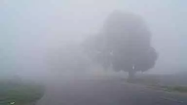 Tamil Nadu : पश्चिमी तलहटी जिलों में 5 मार्च तक बर्फबारी की संभावना Tamil Nadu : पश्चिमी तलहटी जिलों में 5 मार्च तक बर्फबारी की संभावना