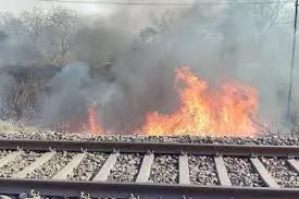 Dhanbad: फुलारीटांड़ स्टेशन के पास रेल ट्रैक के किनारे लगी आग, 2 घंटे ठप रहा परिचालन Dhanbad: फुलारीटांड़ स्टेशन के पास रेल ट्रैक के किनारे लगी आग, 2 घंटे ठप रहा परिचालन