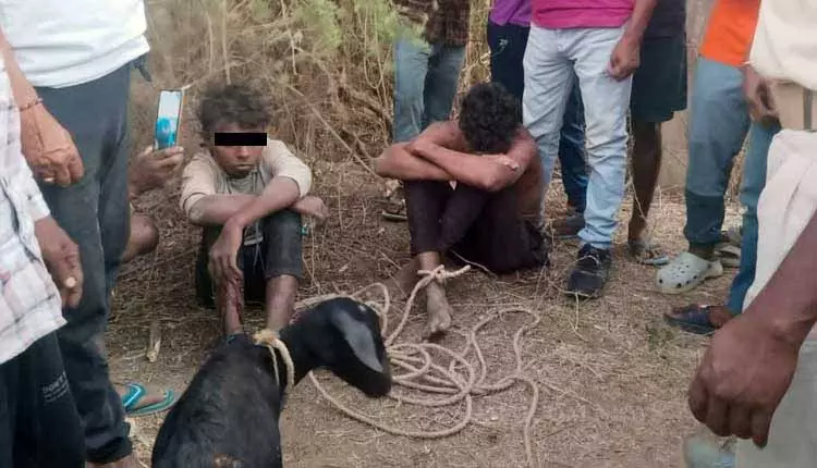 कंगारू कोर्ट का फैसला, Mayurbhanj में बकरी चोरी के आरोप में नौवीं क्लास के स्टूडेंट की पीट-पीटकर हत्या कंगारू कोर्ट का फैसला, Mayurbhanj में बकरी चोरी के आरोप में नौवीं क्लास के स्टूडेंट की पीट-पीटकर हत्या