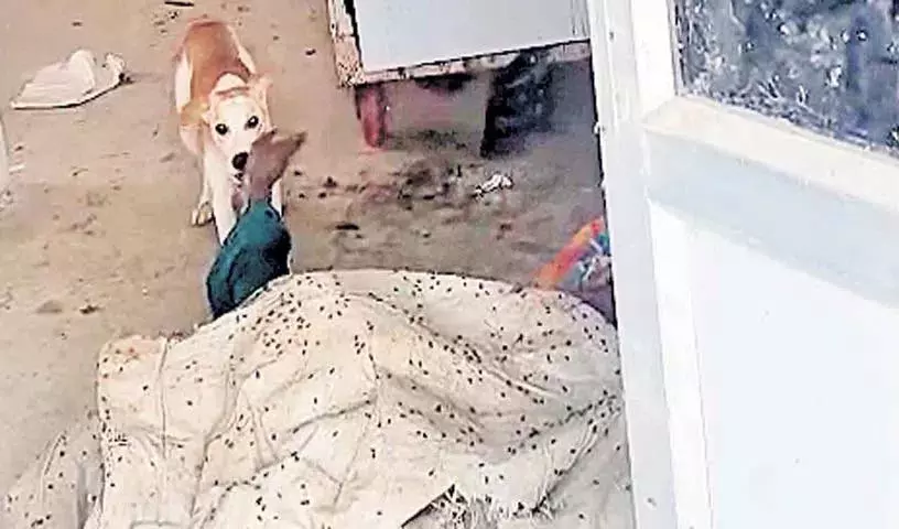 Jadcherla सरकारी अस्पताल के मुर्दाघर मामले में चार लोग सस्पेंड Jadcherla सरकारी अस्पताल के मुर्दाघर मामले में चार लोग सस्पेंड