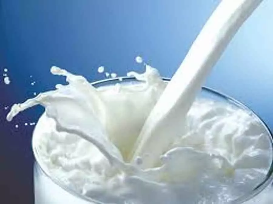 Milk उत्पादकों की कोऑपरेटिव सोसाइटी बनाएं: पशुपालन विभाग Milk उत्पादकों की कोऑपरेटिव सोसाइटी बनाएं: पशुपालन विभाग