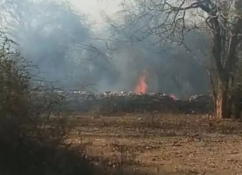 प्लेन क्रैश की अफवाह से हड़कंप, सूरजपुर तक फैली चर्चा प्लेन क्रैश की अफवाह से हड़कंप, सूरजपुर तक फैली चर्चा