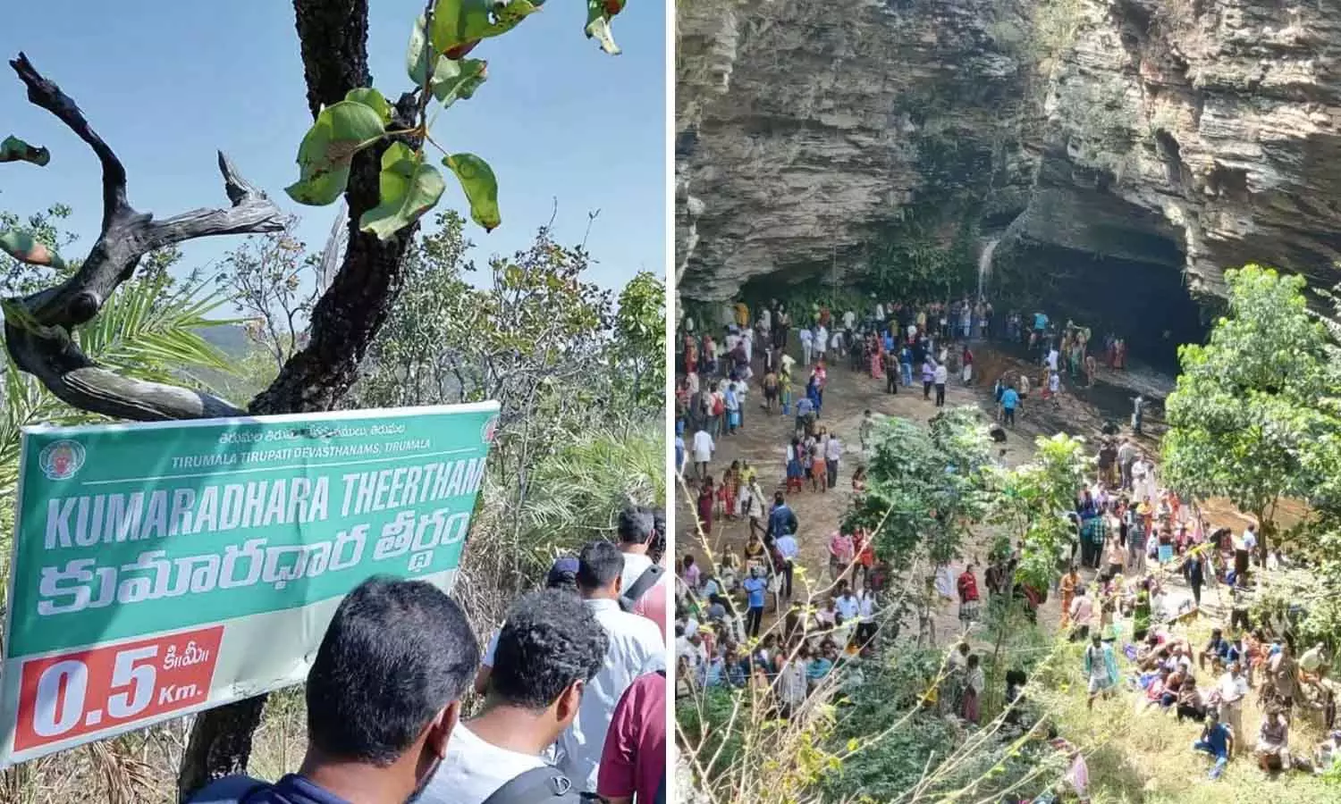 Falgun Purnima पर हज़ारों भक्तों ने किया कुमारधारा तीर्थम में पवित्र डुबकी Falgun Purnima पर हज़ारों भक्तों ने किया कुमारधारा तीर्थम में पवित्र डुबकी