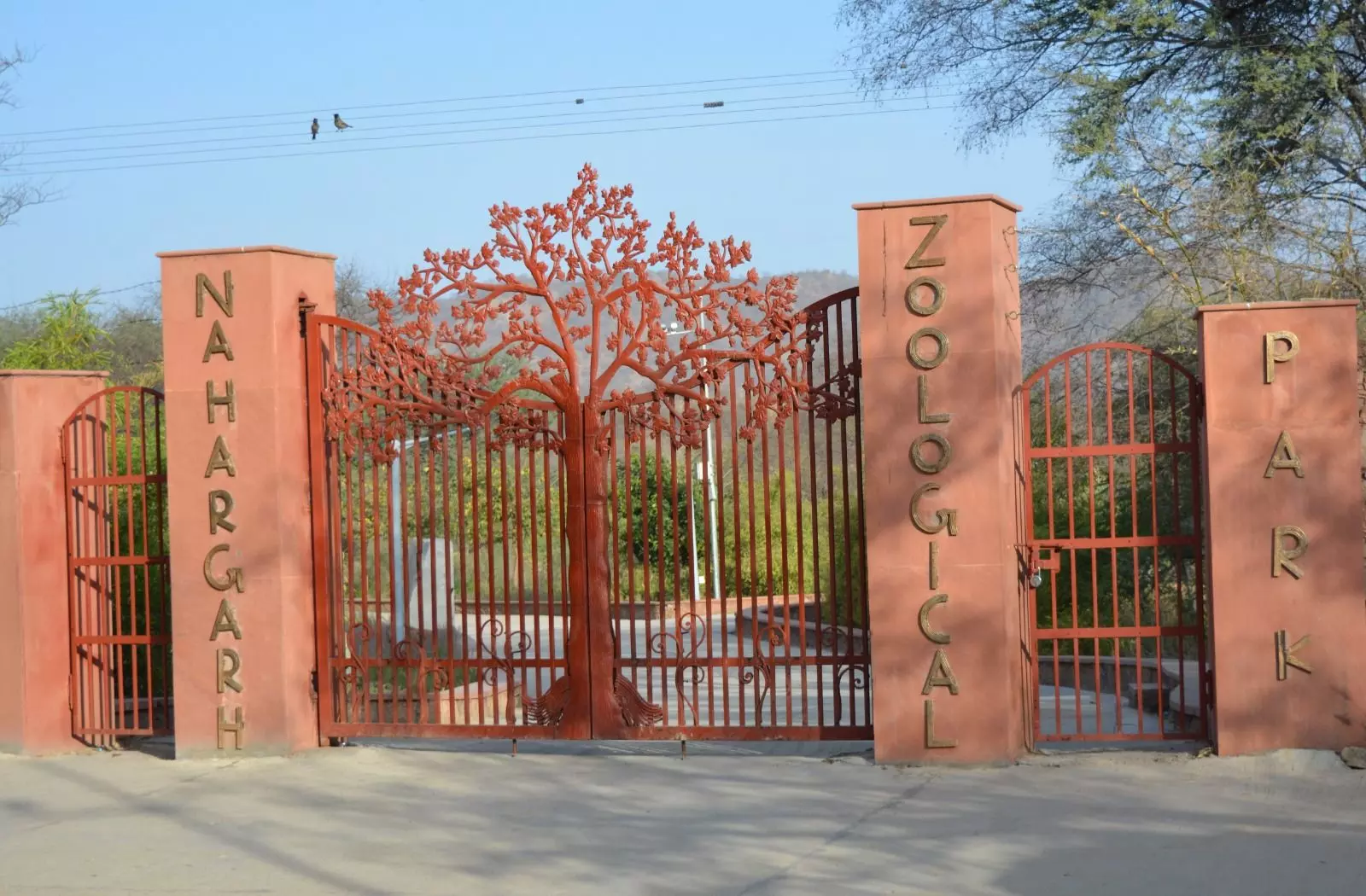 Jaipur: होली के मौके पर चिड़ियाघर में नन्हे मेहमान की दस्तक Jaipur: होली के मौके पर चिड़ियाघर में नन्हे मेहमान की दस्तक