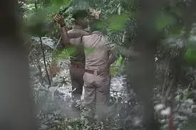 Rapur-चितवेल घाट रोड के पास जंगल में पुरुष और महिला मृत पाए गए