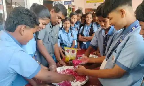 प्राकृतिक तत्वों से हर्बल गुलाल तैयार