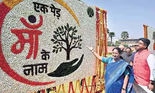 ‘अब Delhi में ट्यूलिप के साथ फोटो खिंचवाएं’: CM Rekha Gupta ‘अब Delhi में ट्यूलिप के साथ फोटो खिंचवाएं’: CM Rekha Gupta