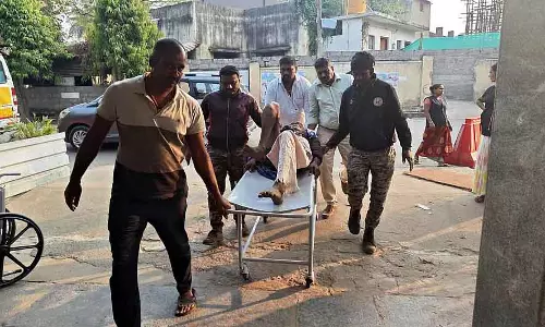 Karnataka : एक जंगली हाथी ने एक बूढ़े किसान को अपनी सूंड से उठाकर फेंक दिया