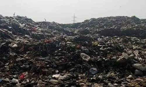 Malerkotla में कचरे की समस्या बनी, डंपसाइट के लिए ज़मीन ढूंढना नगर निगमों के लिए सिरदर्द बना हुआ है Malerkotla में कचरे की समस्या बनी, डंपसाइट के लिए ज़मीन ढूंढना नगर निगमों के लिए सिरदर्द बना हुआ है