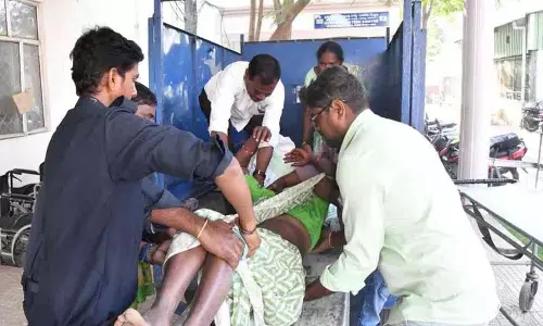 Rajanna सिरसिला जिले कोनारावपेट मंडल में मधुमक्खी के हमले में 10 मजदूर घायल