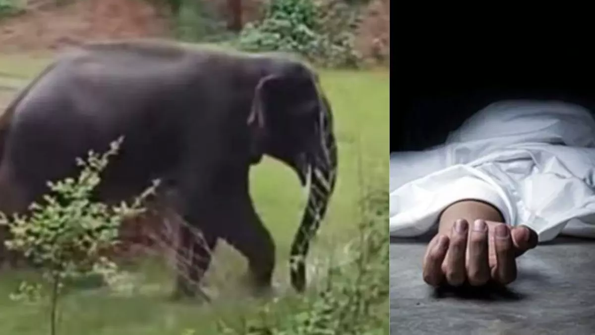 Bankura: जयपुर में वन्यजीव हमले से हड़कंप, वन विभाग ने शुरू की जांच Bankura: जयपुर में वन्यजीव हमले से हड़कंप, वन विभाग ने शुरू की जांच