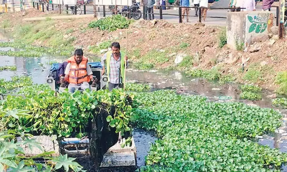 VMC ने गाद निकालने और खरपतवार हटाने का काम शुरू किया