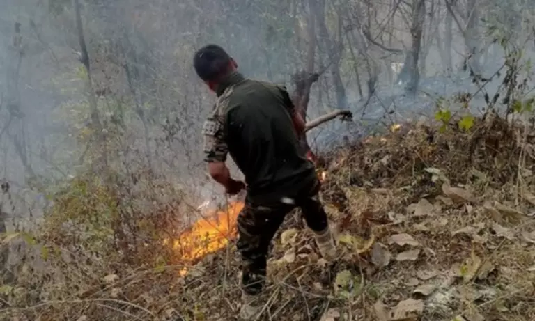 Manipur में आग का खतरा बढ़ा, वन विभाग ने सुरक्षा और निगरानी बढ़ाई