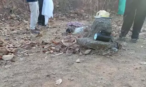 मंडी प्रभारी को रौंदकर हाथी ने मार डाला