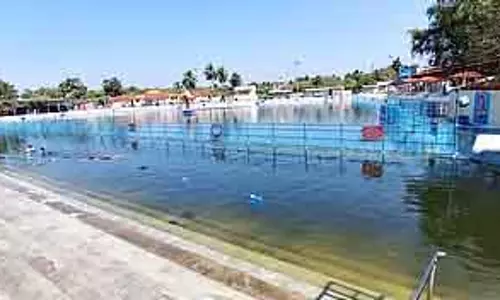 Thirunallar थापरण्येश्वर मंदिर में कल शनि पूजा उत्सव