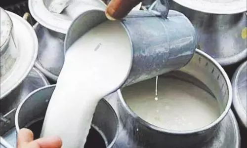 Bhopal: देश के बड़े डेयरी ब्रांड्स जांच में फेल, दूध में मिली खतरनाक मिलावट