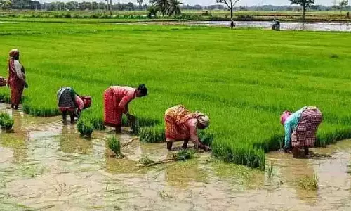 Tiruchi Collector ने कहा कि लैंड रेवेन्यू रिकॉर्ड जल्द ही जारी किए जाएंगे