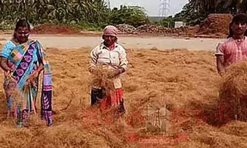 CHENNAI: पश्चिम एशिया युद्ध के कारण एक सप्ताह में 100 करोड़ रुपये के पोलाची कॉयर निर्यात को नुकसान CHENNAI: पश्चिम एशिया युद्ध के कारण एक सप्ताह में 100 करोड़ रुपये के पोलाची कॉयर निर्यात को नुकसान