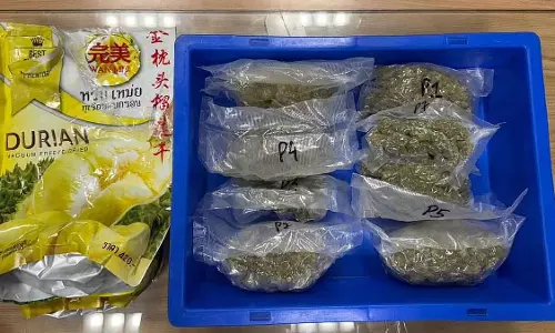 Bangkok-पुणे फ्लाइट के टॉयलेट से ₹75 लाख कीमत की हाइड्रोपोनिक वीड ज़ब्त की गई Bangkok-पुणे फ्लाइट के टॉयलेट से ₹75 लाख कीमत की हाइड्रोपोनिक वीड ज़ब्त की गई