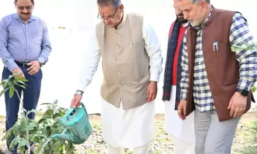 Dehradun: हरियाली बढ़ाने की पहल, गणेश जोशी ने किया पौधरोपण Dehradun: हरियाली बढ़ाने की पहल, गणेश जोशी ने किया पौधरोपण